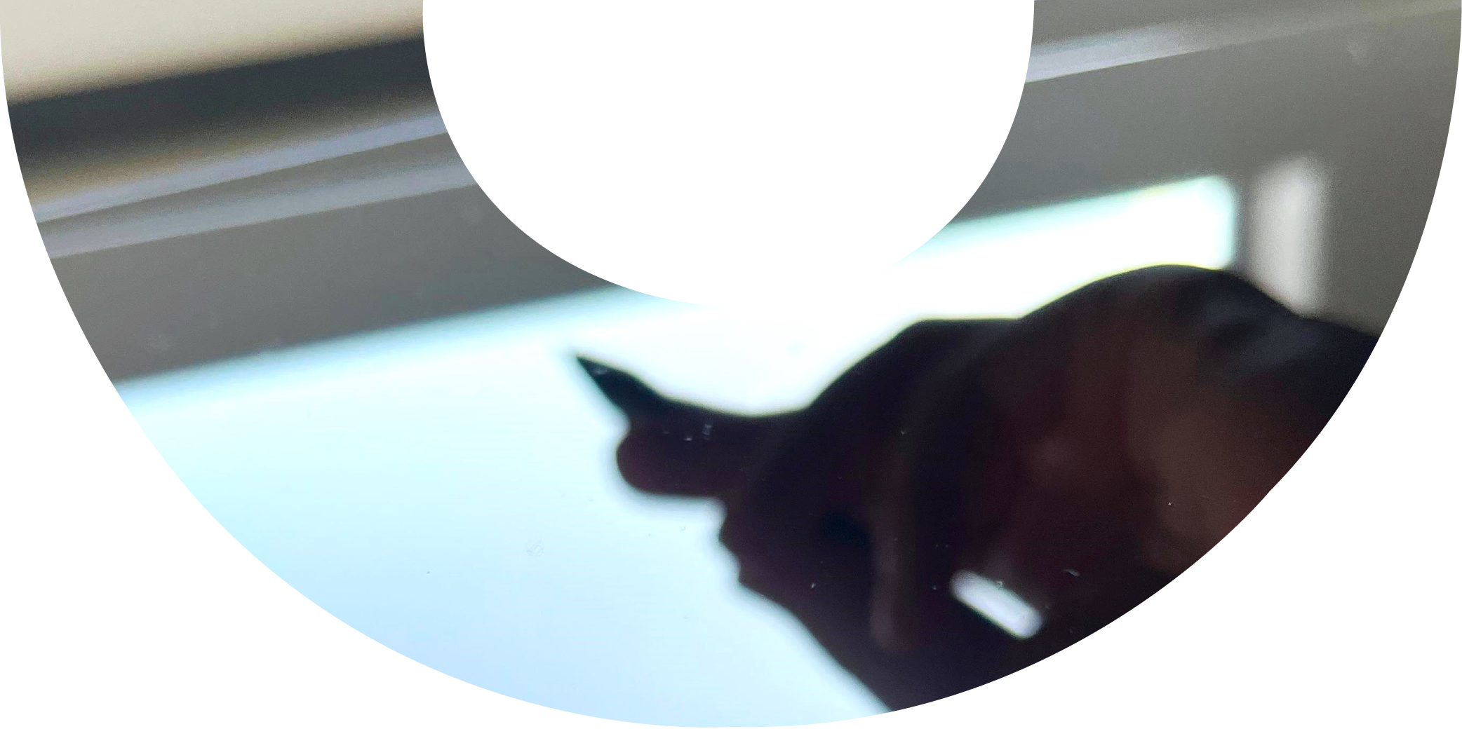 thewedesign Grafik für Kontaktaufnahme